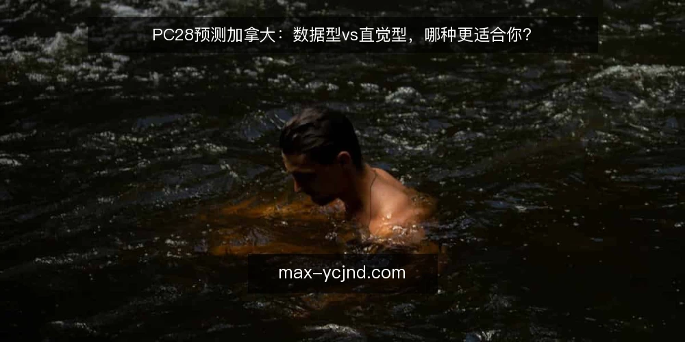 PC28预测加拿大:数据型vs直觉型,哪种更适合你? — 场景设定:两种玩家,一个目标 配图