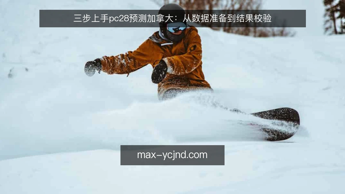 三步上手pc28预测加拿大：从数据准备到结果校验