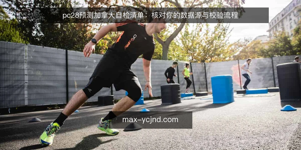pc28预测加拿大自检清单:核对你的数据源与校验流程 — 为什么现在需要自检 配图