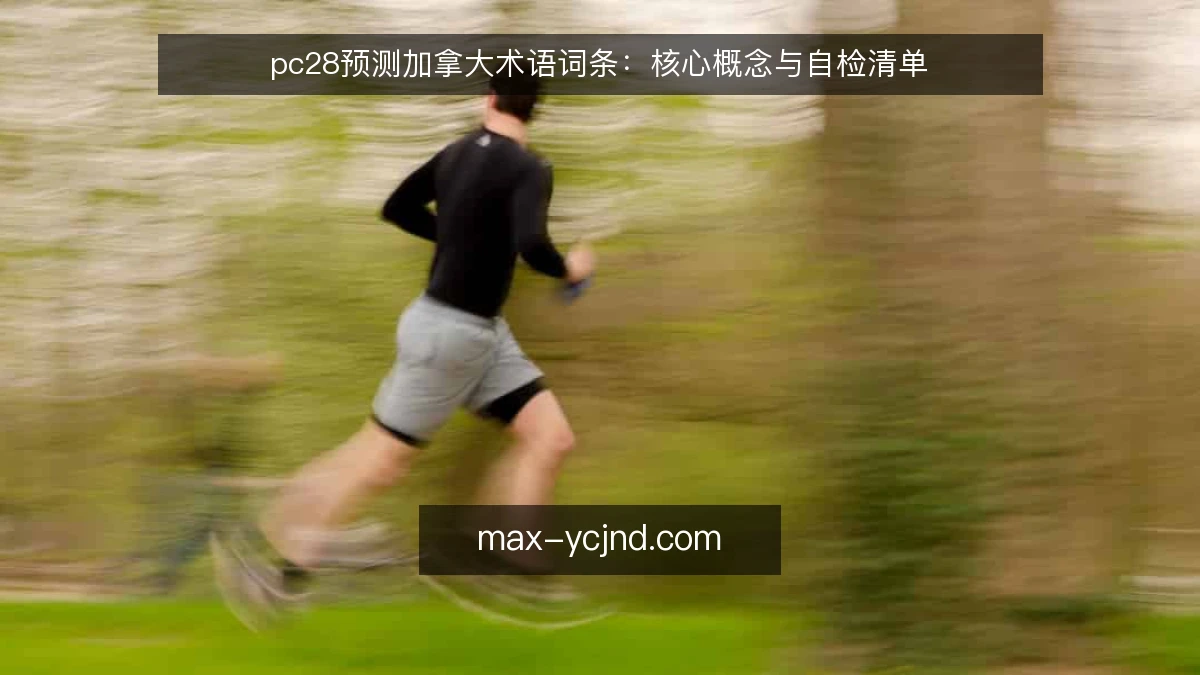 pc28预测加拿大术语词条：核心概念与自检清单